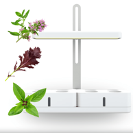 SMART GARDEN Simply Classic "Imunitet" set